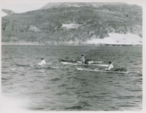 Image of Polar Eskimos [Inughuit] in kayaks coming to great Bowdoin and MacMillan